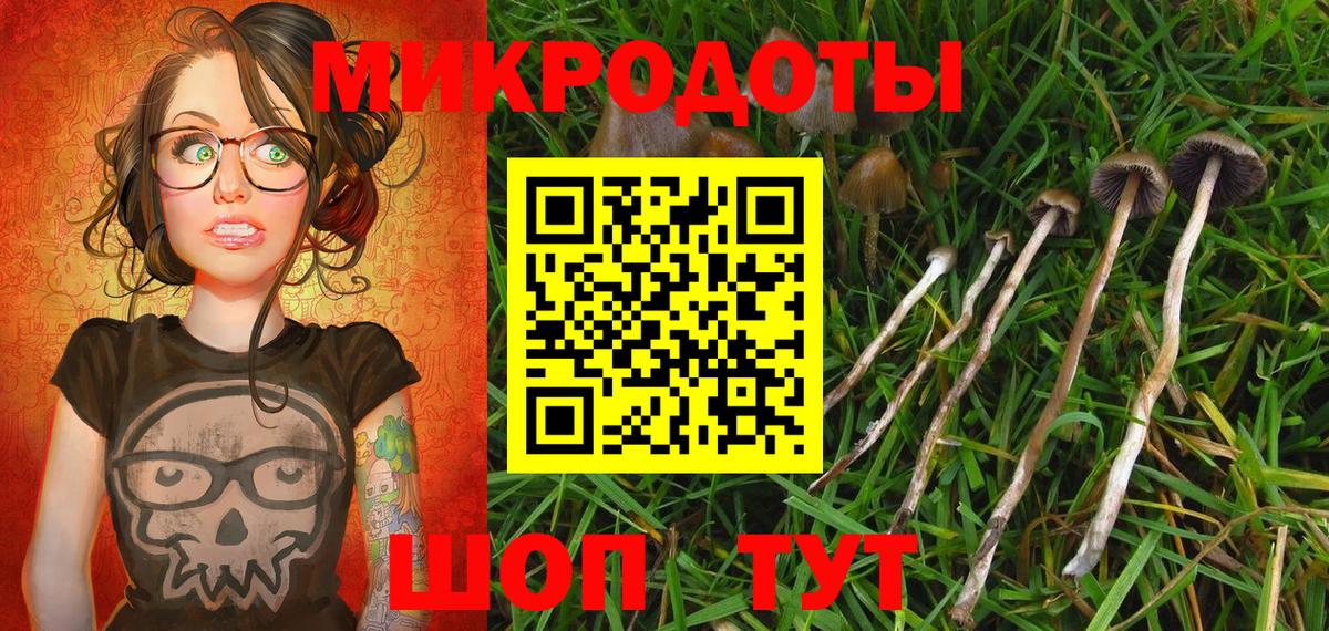 Псилоцибиновые грибы мицелий Норильск